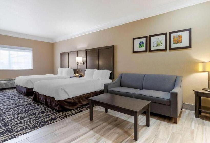 장애인을 위한 스위트, Comfort Suites Kingwood Houston North