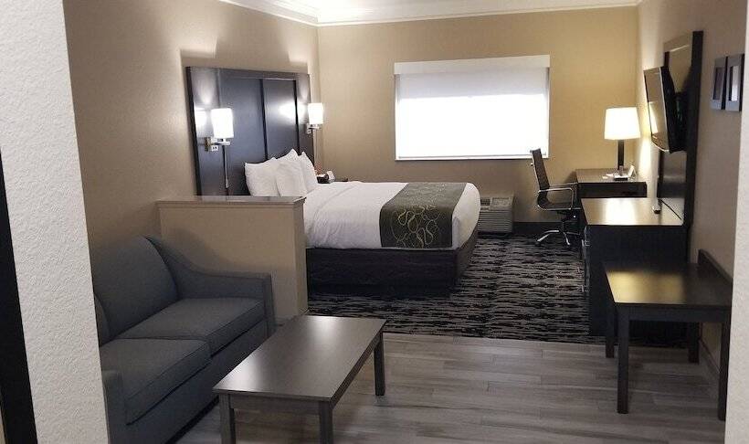 스위트, Comfort Suites Kingwood Houston North