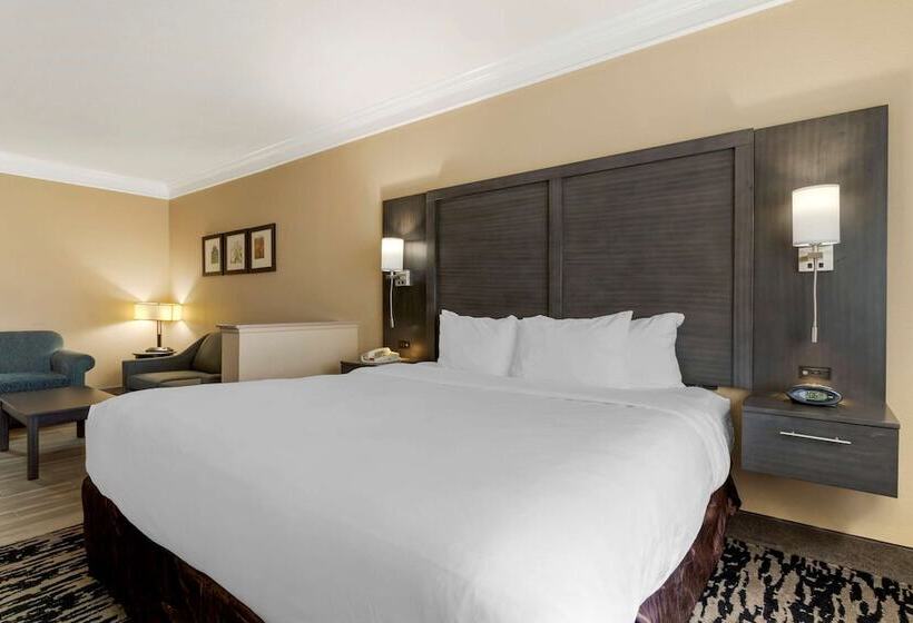 스위트, Comfort Suites Kingwood Houston North