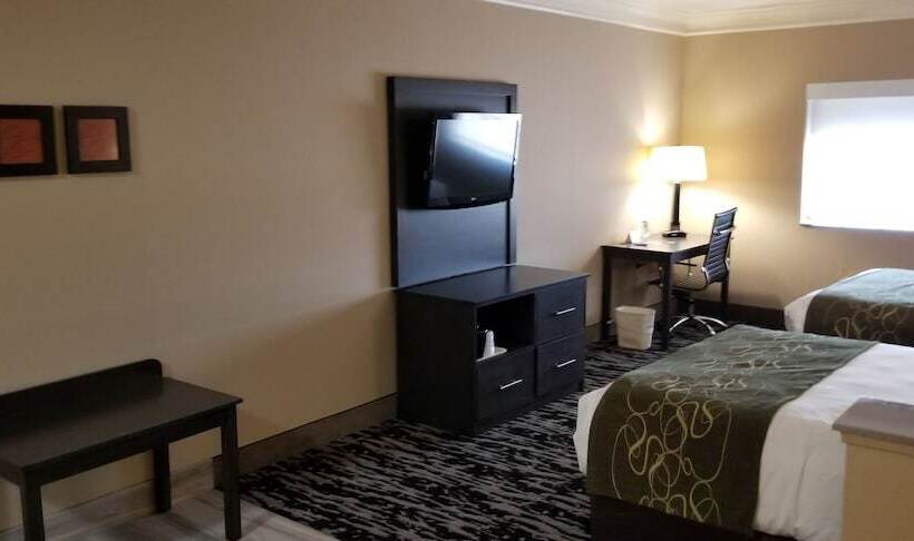장애인을 위한 스위트, Comfort Suites Kingwood Houston North