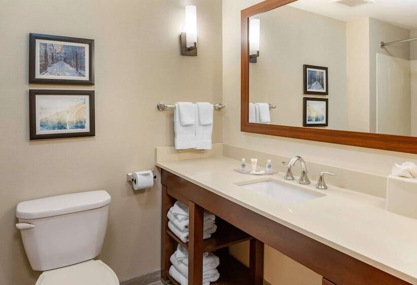 سوییت, Comfort Suites Amish Country