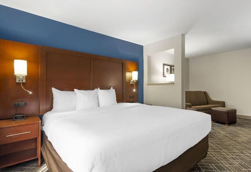Люкс, Comfort Suites Atlanta Airport