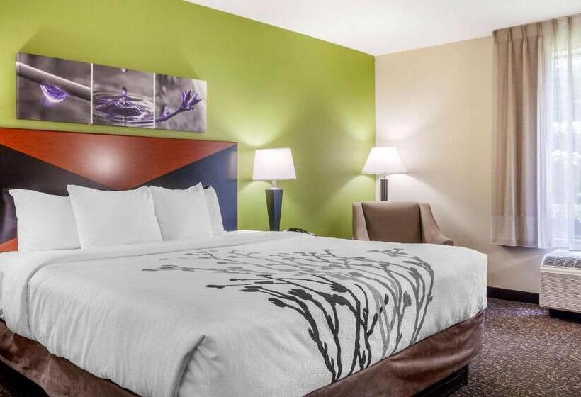 带大床的标准间, Sleep Inn & Suites Airport