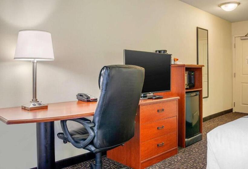 标准间, Sleep Inn & Suites Airport