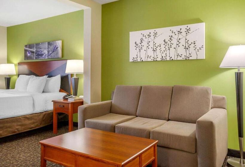 适合残疾人士使用的套间, Sleep Inn & Suites Airport