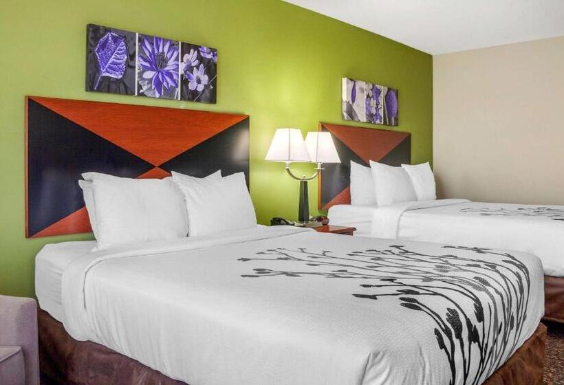 适合残疾人使用的标准间, Sleep Inn & Suites Airport