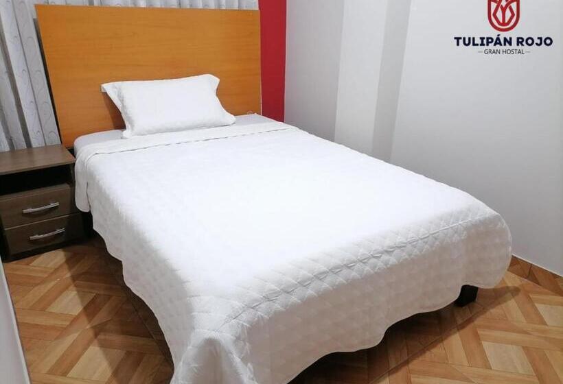اتاق استاندارد یک نفره, Hostal Terraoro