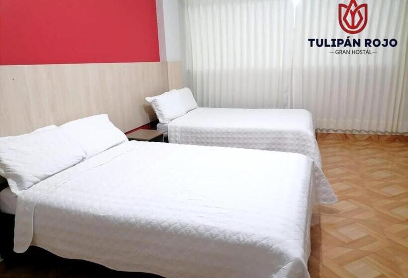 اتاق استاندارد با 2 تخت دوبل, Hostal Terraoro
