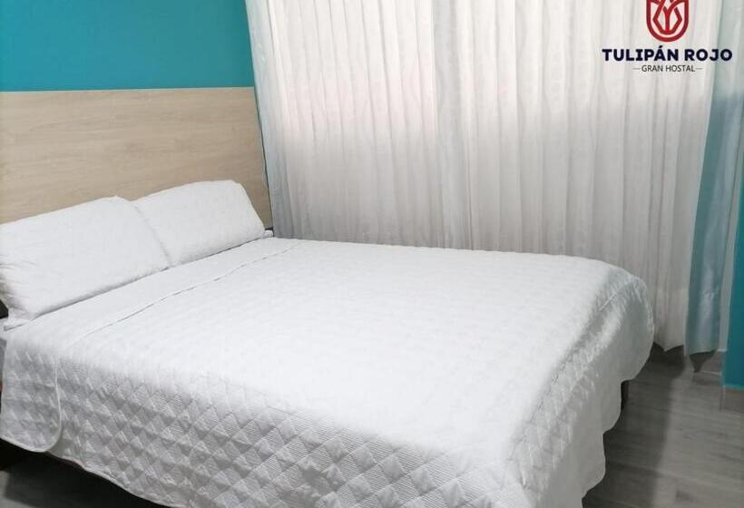 اتاق استاندارد, Hostal Terraoro