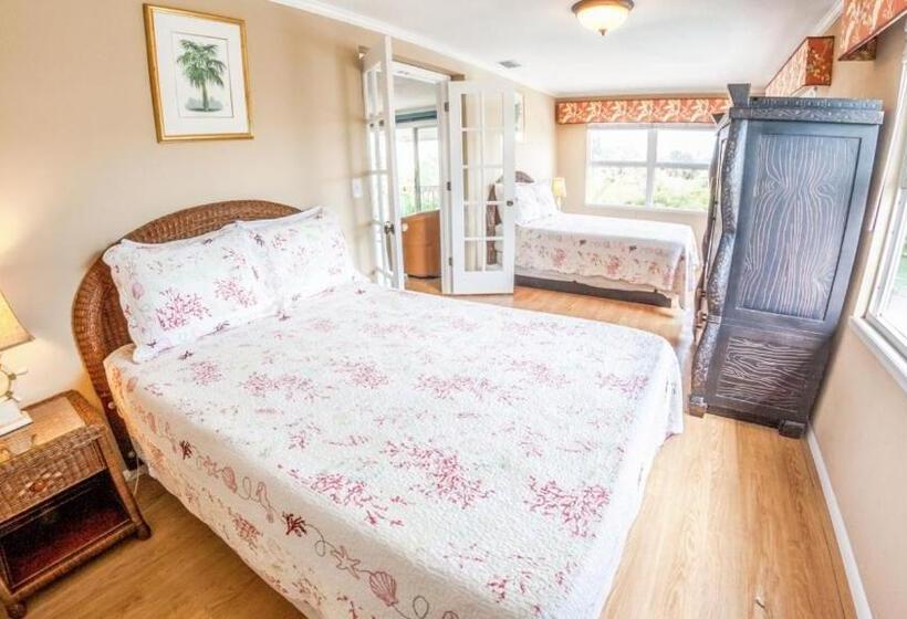 Номер Superior Кровать Кинг, Suntan Terrace