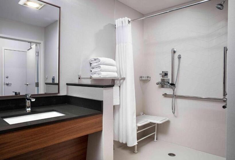 Президентский Люкс, Fairfield By Marriott Inn & Suites Lewisburg