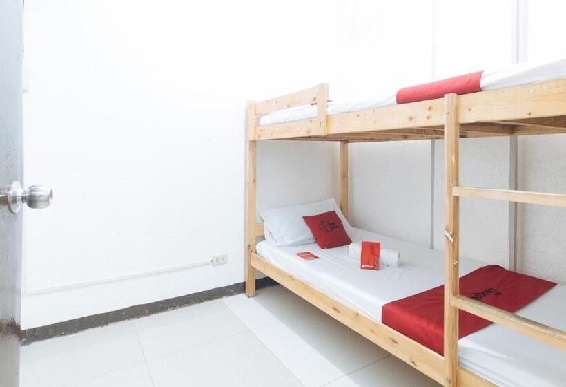 家庭间, Reddoorz Plus Near Tambo Paranaque
