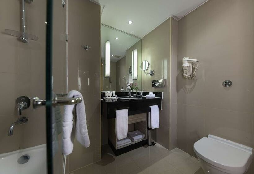 سوییت, Radisson Blu Hotel, Cairo Heliopolis