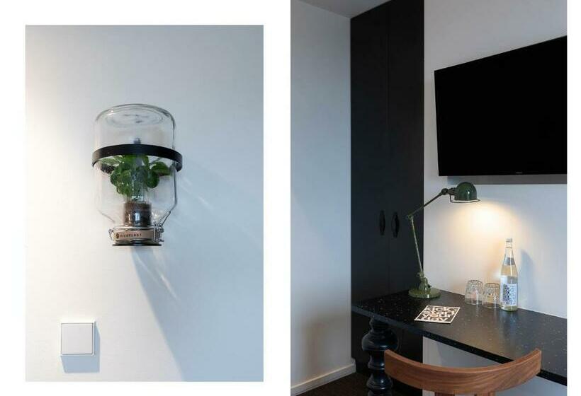 اتاق استاندارد, Conscious Hotel Vondelpark