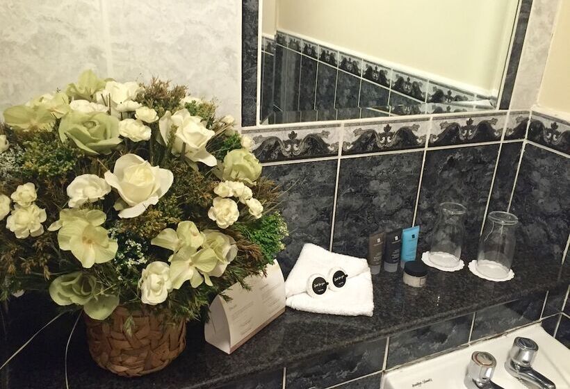 اتاق لوکس, Dublin Citi Hotel Of Temple Bar