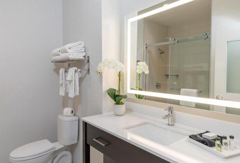 اتاق استاندارد با تخت بزرگ, Cambria Hotel Copper Mountain