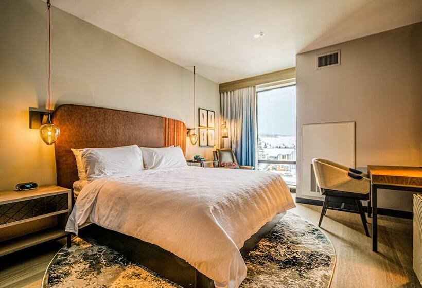 스탠다드 룸, Indigo   Silverthorne, An Ihg