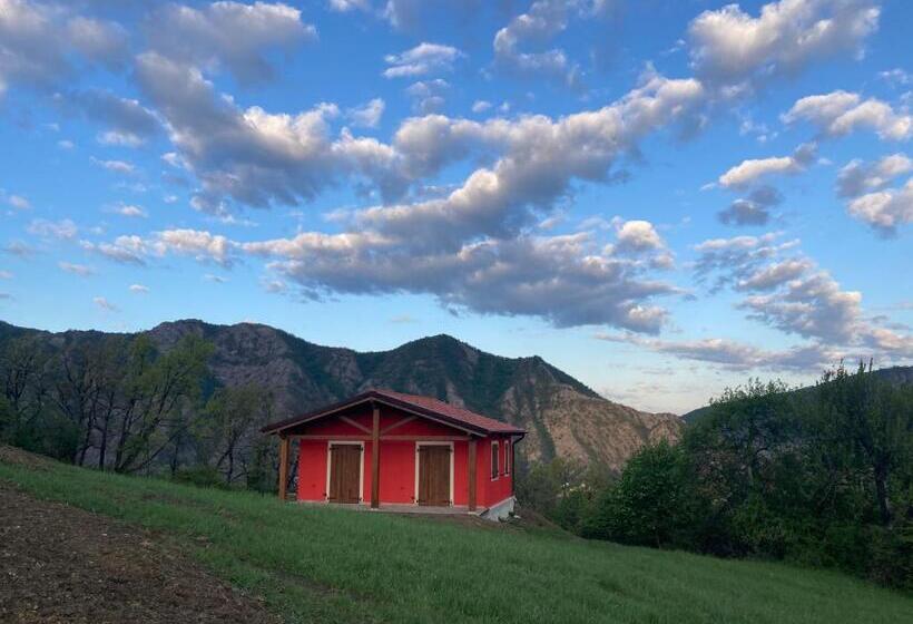Номер Стандарт, Azienda Agricola Saint Hubert