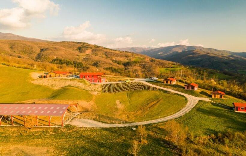 Номер Стандарт Индивидуальный, Azienda Agricola Saint Hubert