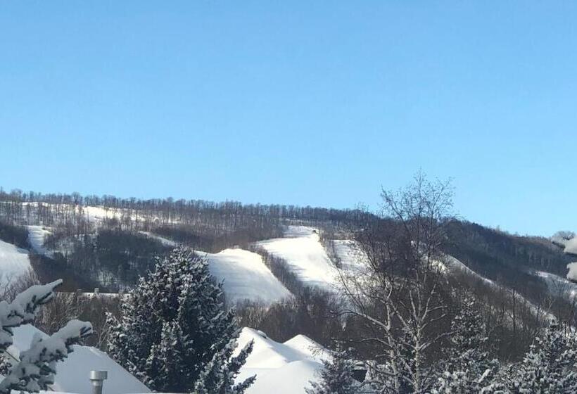 带1个卧室的公寓, Blue Mountains Bed And Breakfast