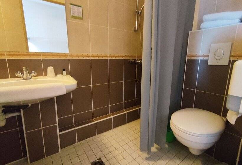 スタンダードシングルルーム, Hôtel Du Parc Limoges & Restaurant Le Temps D Une Pause