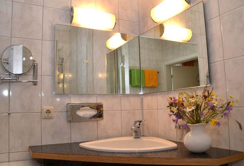 Номер Стандарт, Parkhotel Helene