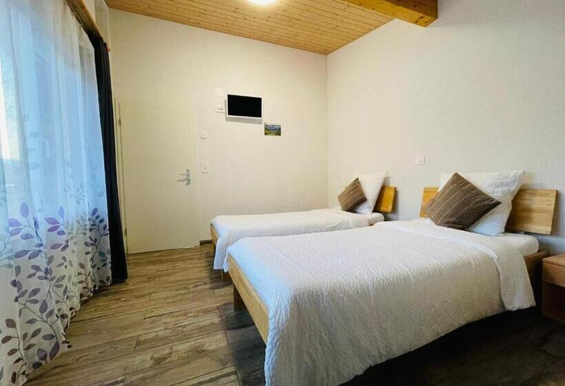 Апартаменты 1 Спальня, Swiss Chalet Holidays Ringgenberg