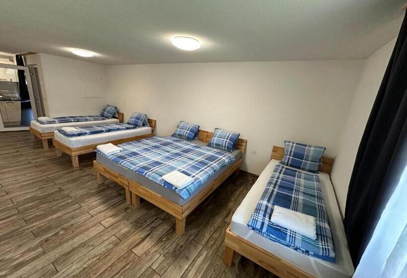 Семейное Студио, Swiss Chalet Holidays Ringgenberg