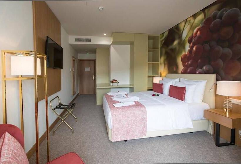 Номер Deluxe, Douro Castelo Signature Hotel & Spa