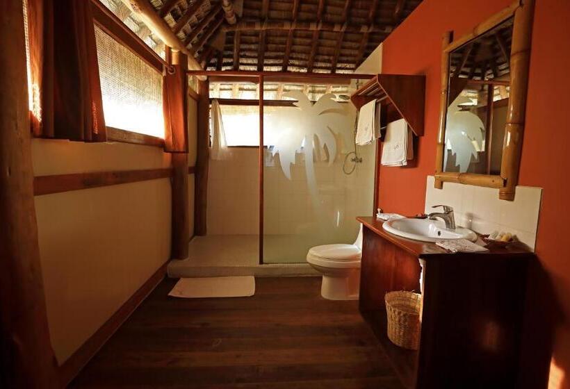 بانگلوی استاندارد با چشم‌انداز دریا, Barry S Beach Resort