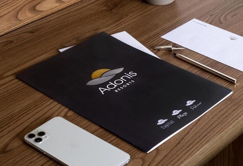 Номер Стандарт Вид на Город, Adonis Capital