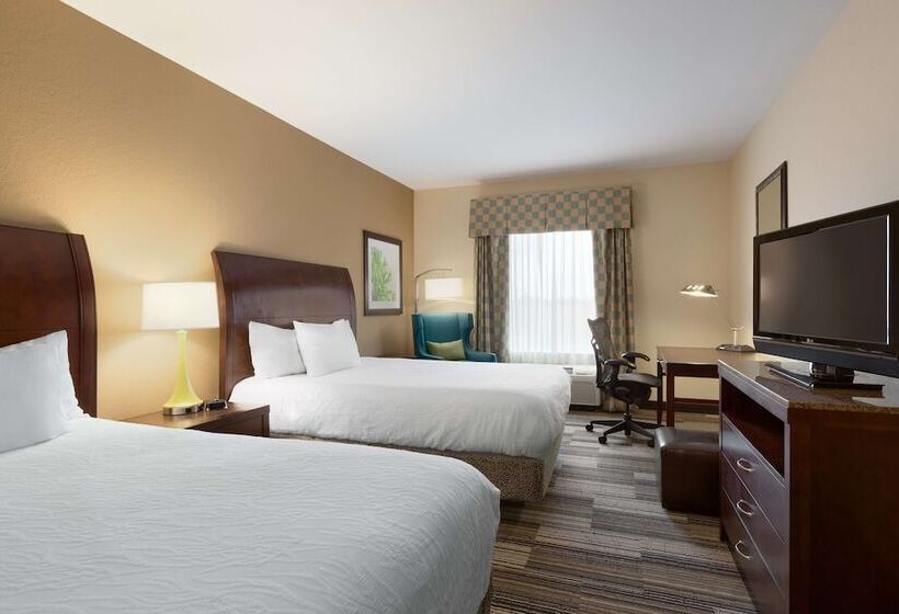 اتاق استاندارد با 2 تخت دوبل, Hilton Garden Inn Abilene