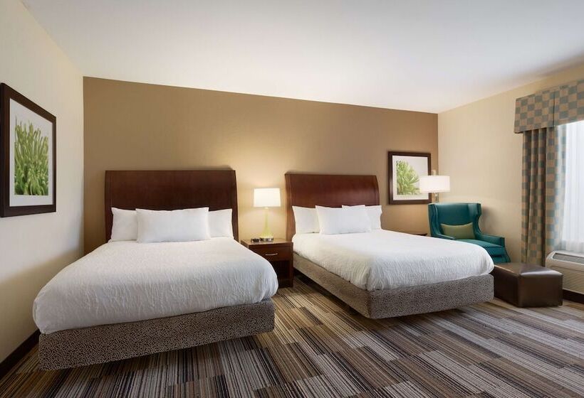 اتاق استاندارد با 2 تخت دوبل, Hilton Garden Inn Abilene