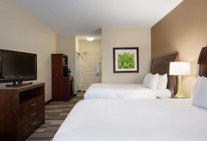 اتاق استاندارد با 2 تخت دوبل, Hilton Garden Inn Abilene