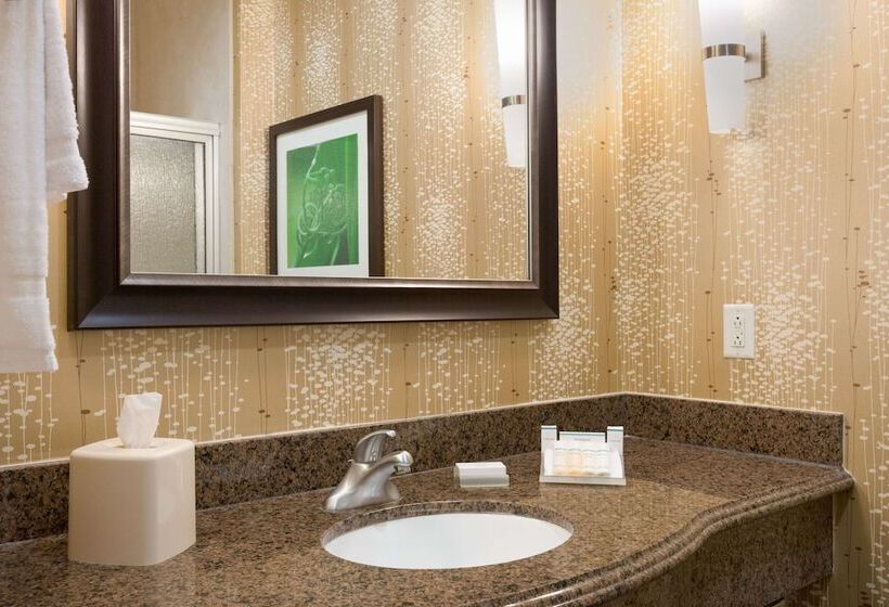 اتاق استاندارد با 2 تخت دوبل, Hilton Garden Inn Abilene