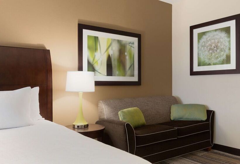اتاق استاندارد با 2 تخت دوبل, Hilton Garden Inn Abilene
