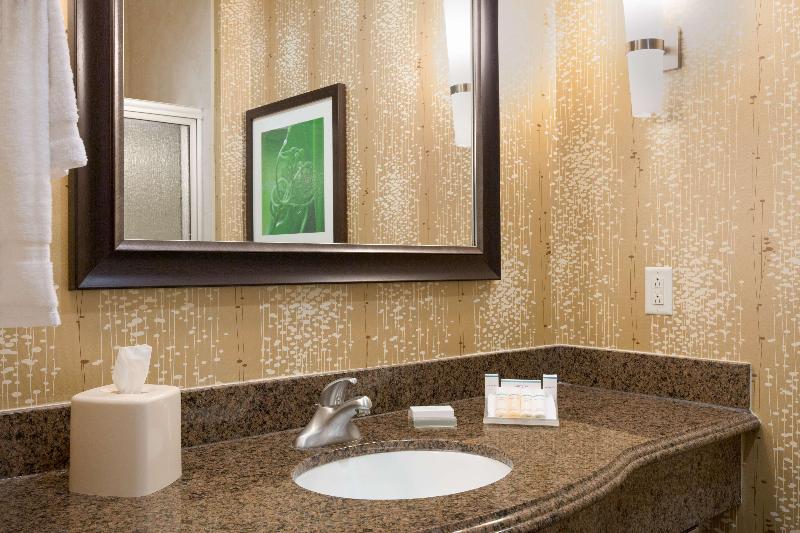 اتاق استاندارد با تخت بزرگ, Hilton Garden Inn Abilene