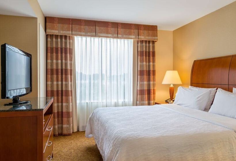 Полулюкс, Hilton Garden Inn Cleveland East/mayfield Village