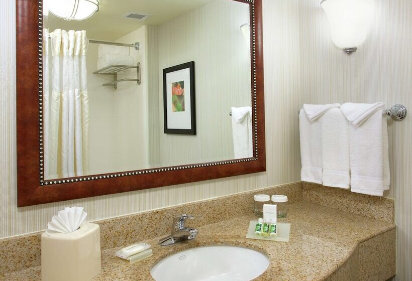 Номер Стандарт, Hilton Garden Inn Gainesville