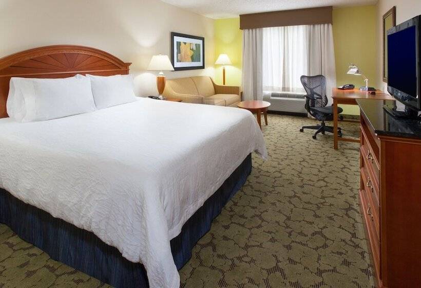 Номер Стандарт, Hilton Garden Inn Gainesville