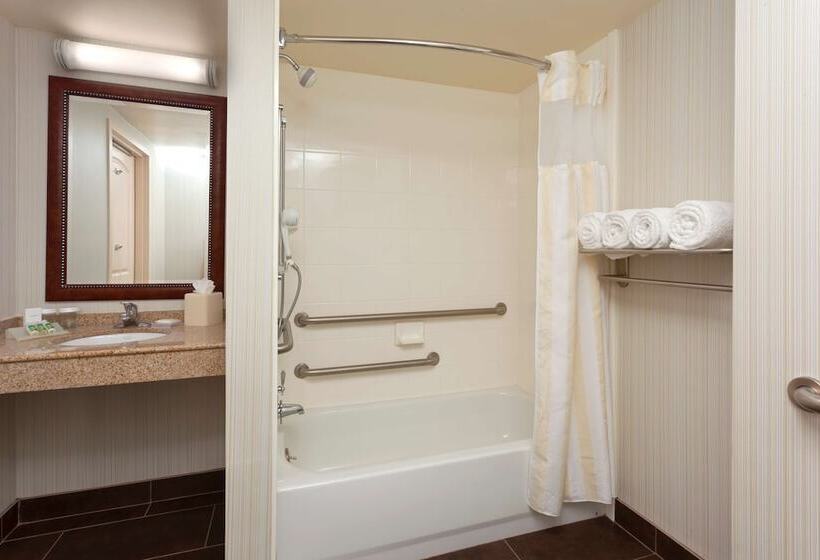 Номер Стандарт Адаптированный для Инвалидов, Hilton Garden Inn Gainesville