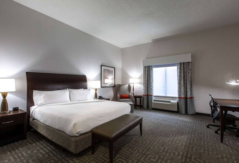 장애인을 위한 킹사이즈 침대 스탠다드 룸, Hilton Garden Inn Lynchburg