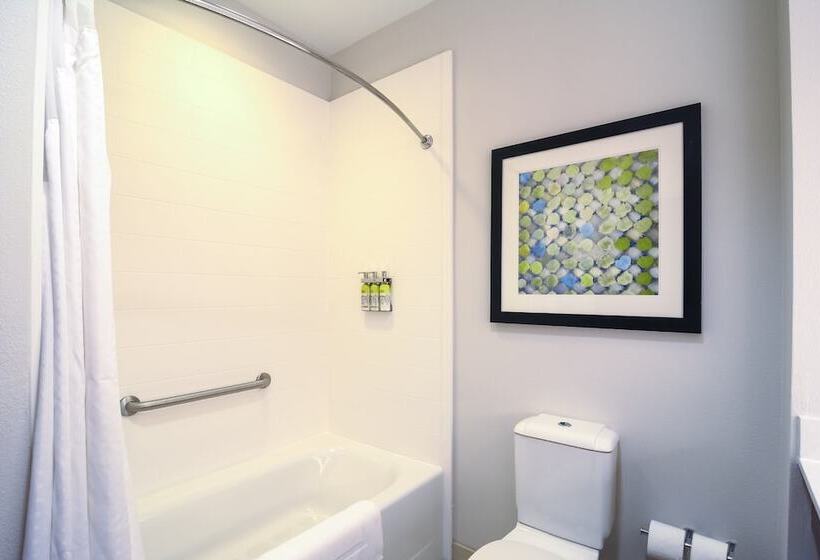 Люкс, Holiday Inn Express Hotel & Suites Tampa Usf Busch Gardens, An Ihg