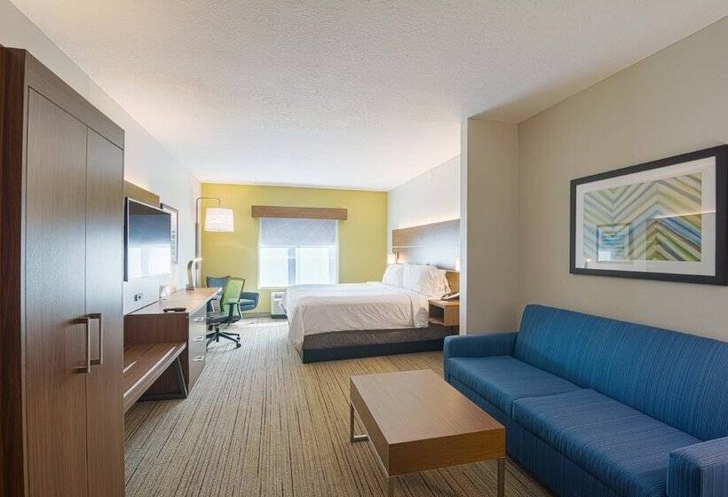 Люкс, Holiday Inn Express Hotel & Suites Tampa Usf Busch Gardens, An Ihg