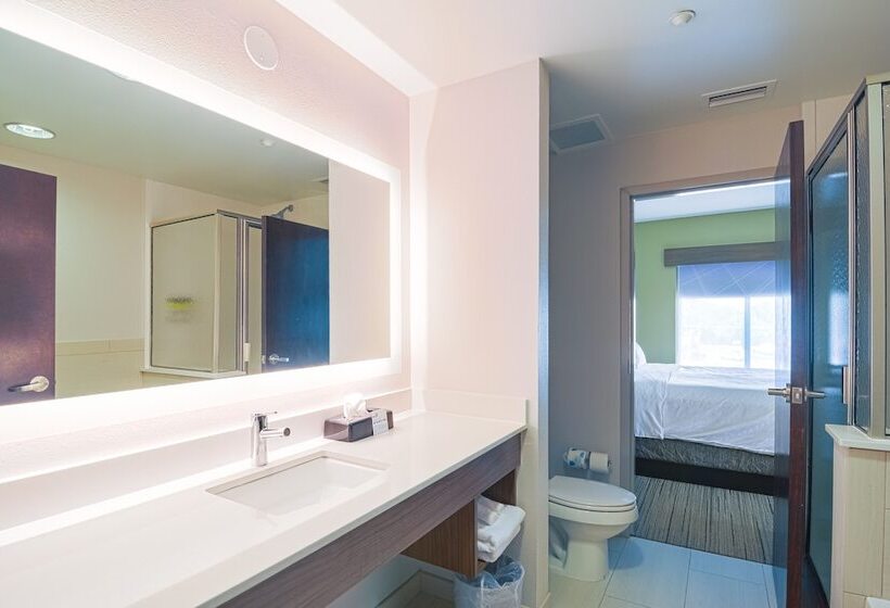 Люкс 2 Спальни, Holiday Inn Express Hotel & Suites Tampa Usf Busch Gardens, An Ihg