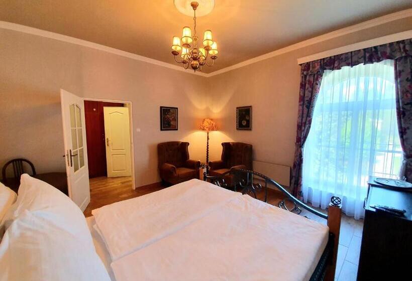 带大床的标准间, Lesní Hotel Peršlák