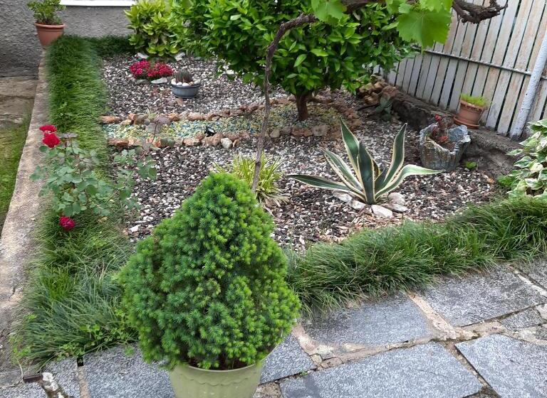 اتاق استاندارد, Sisi Guest House