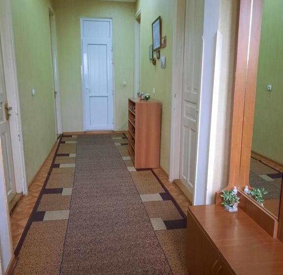 اتاق اکونومی, Sisi Guest House