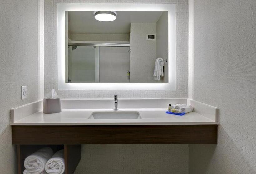 스탠다드 룸 킹사이즈 침대, Holiday Inn Express Hotel & Suites Anderson I 85   Hwy 76, Exit 19b, An Ihg