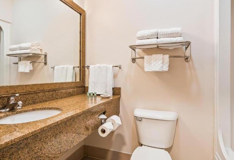 장애인을 위한 킹사이즈 침대 스탠다드 룸, Best Western Brookfield